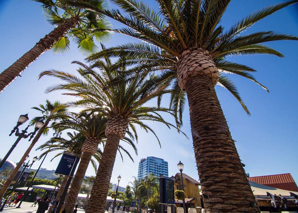 Hilton Angeles-universal 3*
